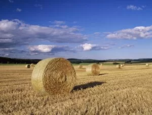 Images Dated 23rd July 2008: Straw bales, Swabian Alb, Baden Wurttemberg, Germany, Europe