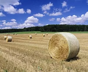 Images Dated 23rd July 2008: Straw bales, Swabian Alb, Baden Wurttemberg, Germany, Europe