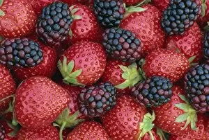 Healthy Food Collection: Strawberries and blackberries, England, United Kingdom, Europe