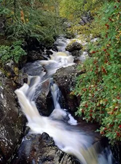 Flowing Gallery: Stream, Glen Affric