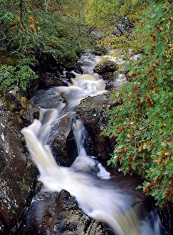 Flowing Gallery: Stream, Glen Affric