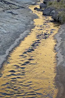 Grand Staircase Escalante Prints: Stream reflecting first light, Grand Staircase-Escalante National Monument