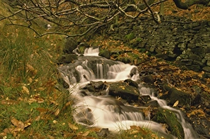 Edale Prints: Stream running through Grindsbrook, Edale, Peak District National Park