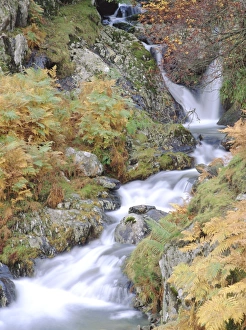 Fern Prints: Stream tumbling over rocks, Lake District, Cumbria, England, UK, Europe