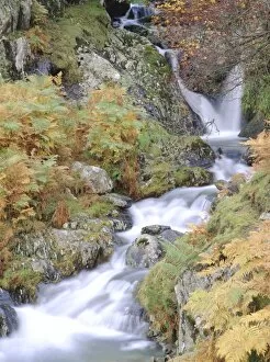 Flowing Gallery: Stream tumbling over rocks, Lake District, Cumbria, England, UK, Europe