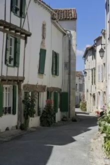 Street lined with hollyhocks, St. Martin-de-Re, Ile de Re Charente-Maritime
