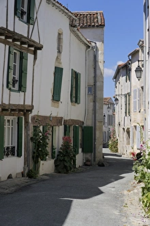 Images Dated 22nd June 2009: Street lined with hollyhocks, St. Martin-de-Re, Ile de Re Charente-Maritime
