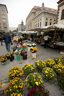 Leipzig Prints: Street market, Leipzig, Saxony, Germany, Europe