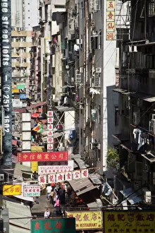 Images Dated 6th February 2007: Street signs, Mid Levels, Hong Kong Island, Hong Kong, China, Asia