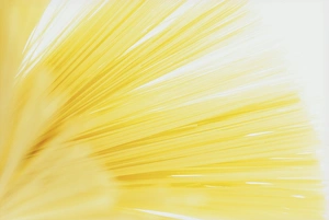 Pasta Prints: Studio shot of spaghetti