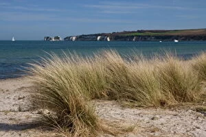 Sea Scape Collection: Studland Beach and The Foreland or Hardfast Point, showing Old Harry Rock
