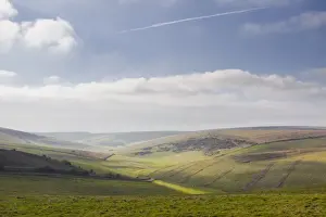 Sussex Prints: Stump Bottom and the rolling hills of the South Downs National Park near to Brighton