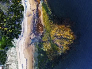 Voyages Prints: Stunning aerial view of a rugged coastline with lush greenery and sandy shores