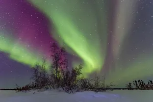 Northern Prints: Stunning display of aurora borealis lights over boreal forest at Great Slave Lake in Northwest Territories Canada