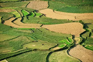 Northern Prints: Stunning view of rice fields near Tam Son village from Quan Ba Pass in Ha Giang province in Northern Vietnam