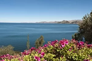 Images Dated 15th October 2009: Suasi Island, Lake Titicaca, Peru, South America