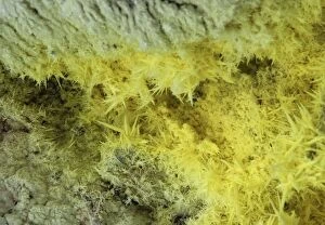 Images Dated 2nd October 2009: Sulphur crystals in volcanic solfatara vent, Io-zan, Kussharo caldera, Akan National Park