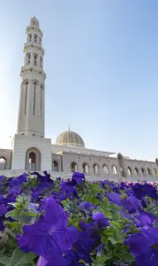Petunia Prints: Sultan Qaboos Mosque minaret with violet petunia flowers in the foreground, Muscat, Oman