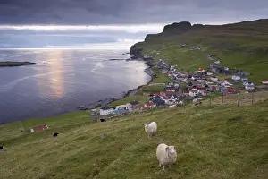 Sumba, picturesque village on south-west tip of Suduroy Island, and sheep