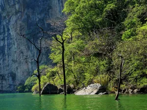 Sumidero Prints: Sumidero Canyon, Chiapas State, Mexico