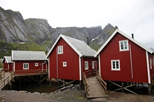 Foot Bridge Prints: Summer cabins at Reine, Lofoten Islands, Norway, Scandinavia, Europe
