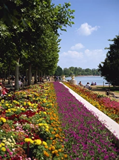 Lake Balaton Prints: Summer flowers at Balatonfured on Lake Balaton