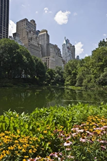Central Park Prints: Summer flowers and The Pond, Central Park, Manhattan, New York, United States of America