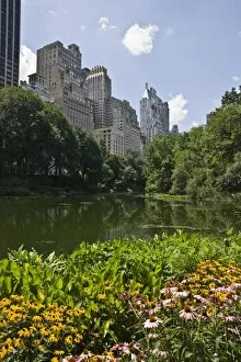 Summer flowers and The Pond, Central Park, Manhattan, New York, United States of America