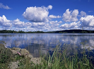 Summer, lake at Ramen Summer, lake at Ramen