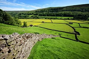 Rolling Landscape Collection: Summer meadows at Gunnerside in Swaledale, Yorkshire Dales, Yorkshire, England, United Kingdom
