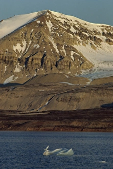 Sea Cliffs Prints: Summer shows cliff faces, and small iceberg, Kongsfjorden, Svalbard, Arctic