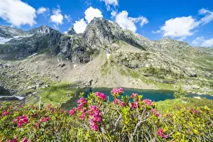 Summer sky over mountain peaks and rhododendrons framing lake Zancone, Orobie Alps