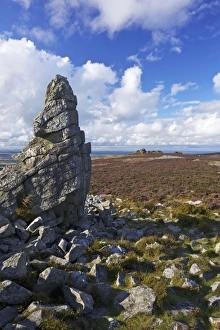 Shropshire Prints: Summer sun on the Stiperstones, Shropshire, England, United Kingdom, Europe