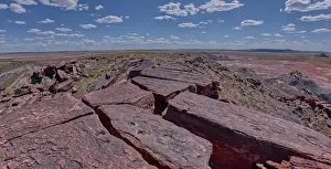Open Space Prints: The summit of Haystack Mesa in Petrified Forest National Park