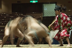 Sumo wrestlers competing