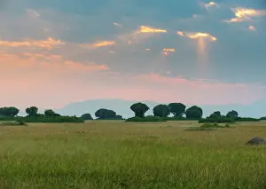 Uganda Prints: Sun breaking through the clouds
