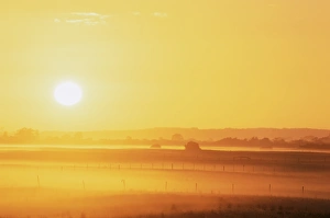 Soft Focus Prints: Sun and fields, Robe, South Australia, Australia, Pacific