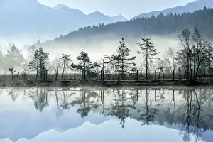 Pian Di Gembro Prints: The sun illuminating the mist rising from the ponds of the Nature Reserve of Pian di Gembro early in the morning