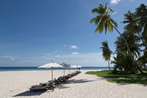 Sun Lounger Prints: Sun loungers on the beach on an island in the Northern Huvadhu Atoll