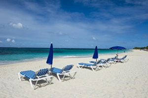 Parasol Prints: Sun loungers on world class Shoal Bay East beach, Anguilla, British Oversea territory