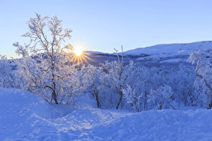 Covering Prints: The sun rises from the peaks on the border of Sweden and Norway