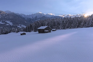 Typically Swiss Prints: The sun sets behind the trees, Tuora, Flims, Imboden, Graubunden, Switzerland, Europe