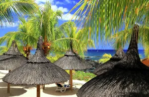 Recreational Prints: Sun shades made of straw under palm trees by the beach in Flic en Flac