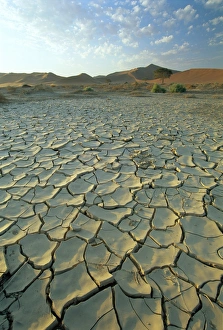 Sossusvlei Prints: Sunbaked mud pan / cracked earth