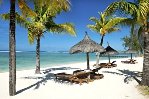 Absence Prints: Sunbeds and palm trees, Ile aux Cerfs, Black River, Mauritius, Indian Ocean, Africa