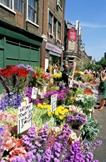 Stall Prints: Sunday flower market, Columbia Road, London, England, United Kingdom, Europe