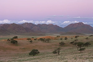 Images Dated 11th March 2008: Sundowner, Wolvedans, Namib Rand Nature Reserve, Namibia, Africa