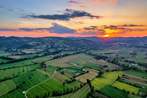 Umbria Prints: Sunflower fields at sunset, Gubbio, Umbria, Italy