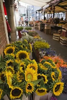 Images Dated 26th July 2005: Sunflowers for sale in Rialto Market, Venice, Veneto, Italy, Europe