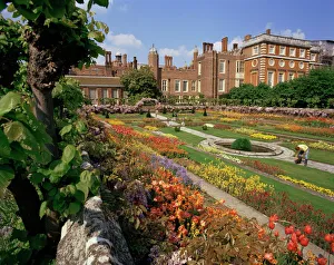 Hampton Court Prints: Sunken gardens, Hampton Court Palace, Greater London, England, United Kingdom, Europe